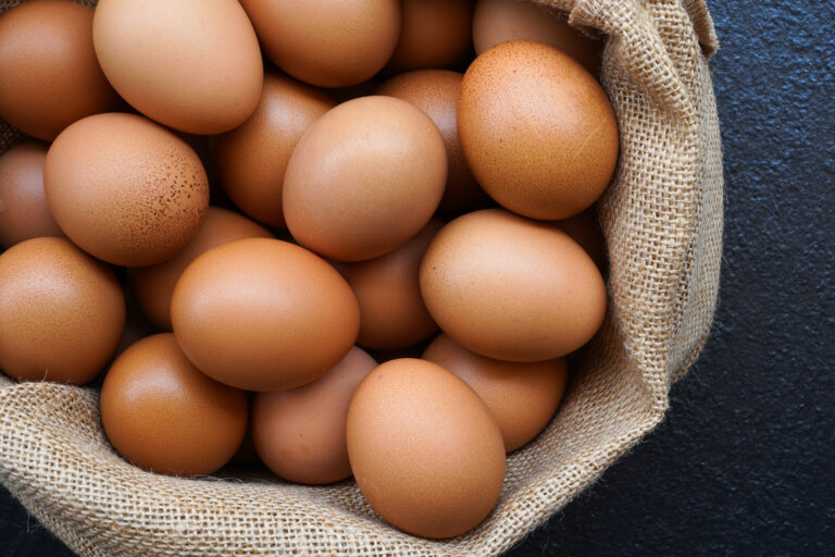 Egg Oral Immunotherapy (OIT)
